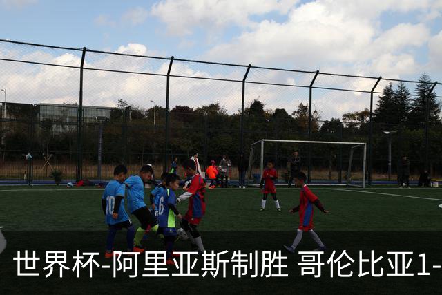 世界杯-阿里亚斯制胜 哥伦比亚1-0加纳进16强战瑞士